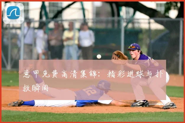 意甲免费高清集锦：精彩进球与扑救瞬间
