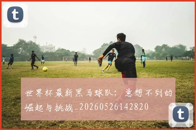 世界杯最新黑马球队:意想不到的崛起与挑战_20260526142820