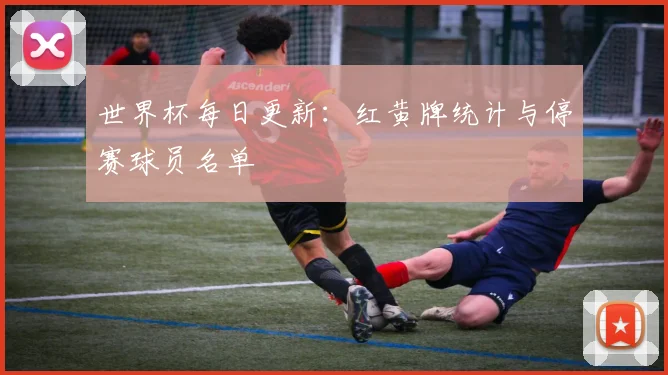 世界杯每日更新：红黄牌统计与停赛球员名单