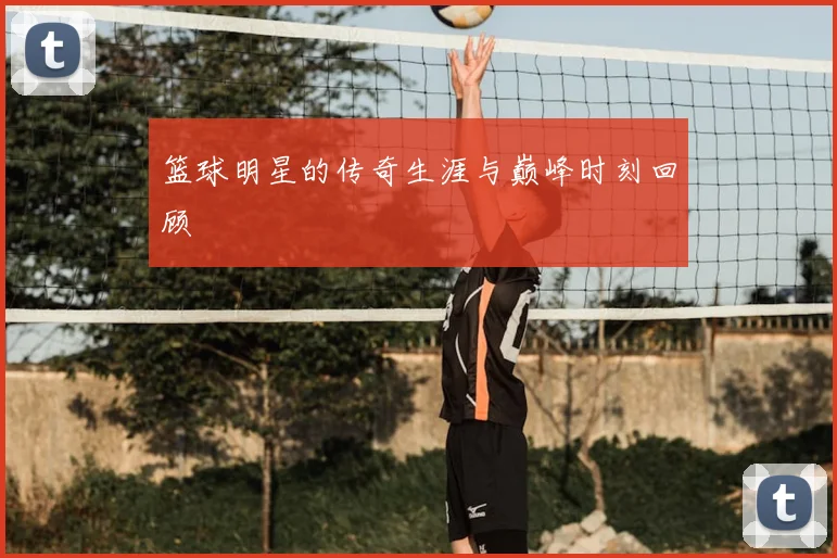 篮球明星的传奇生涯与巅峰时刻回顾